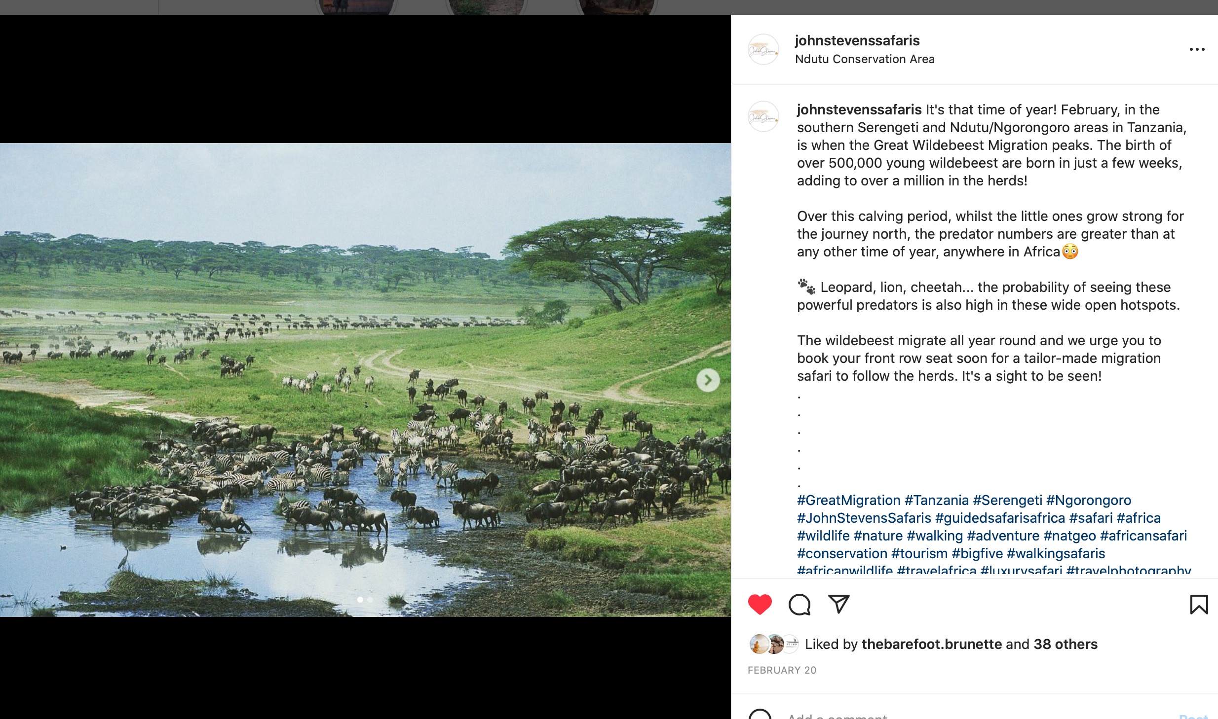 John Stevens Guided Safaris