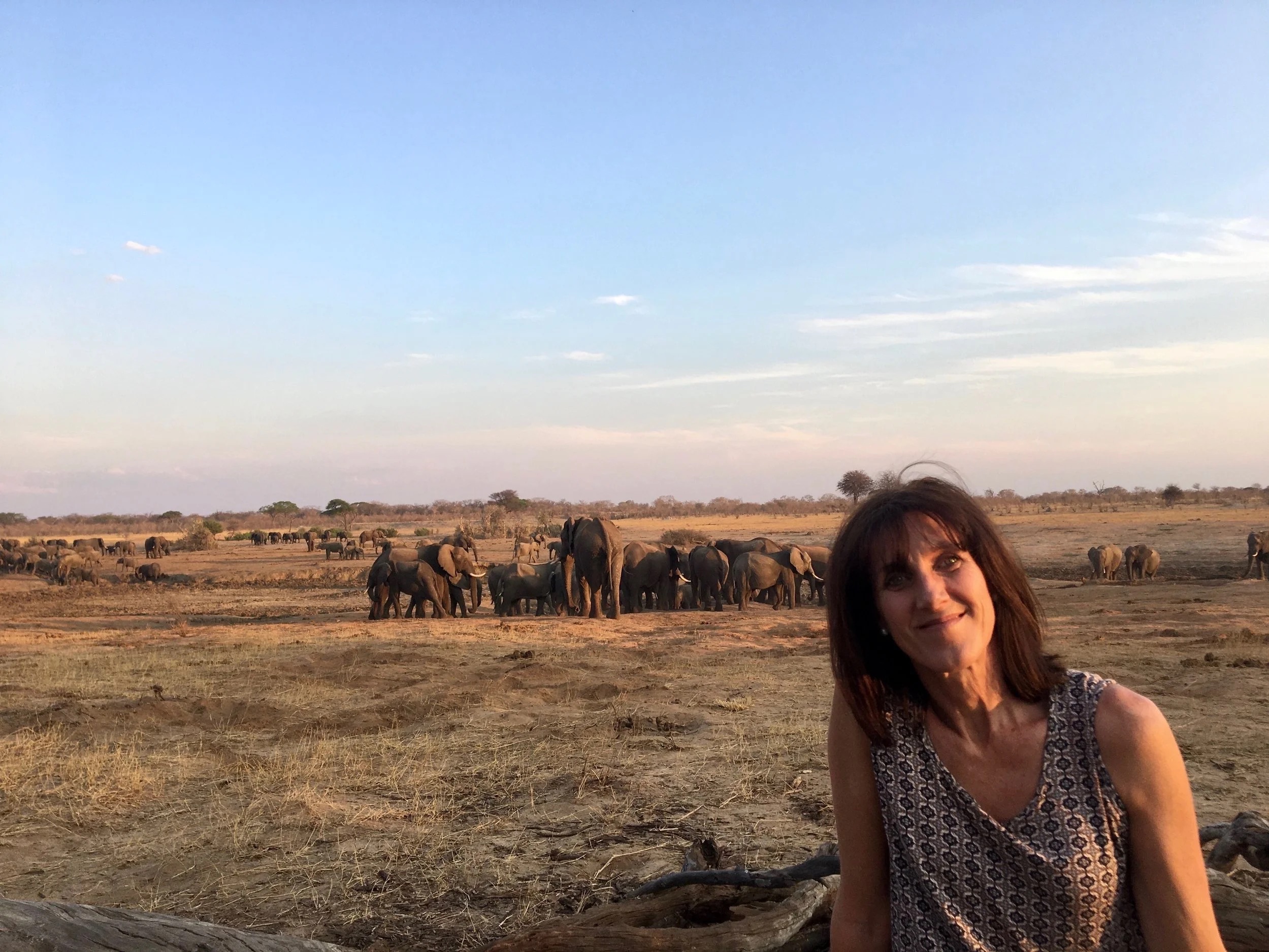 Laura Taylor with elephants in Hwange National Park