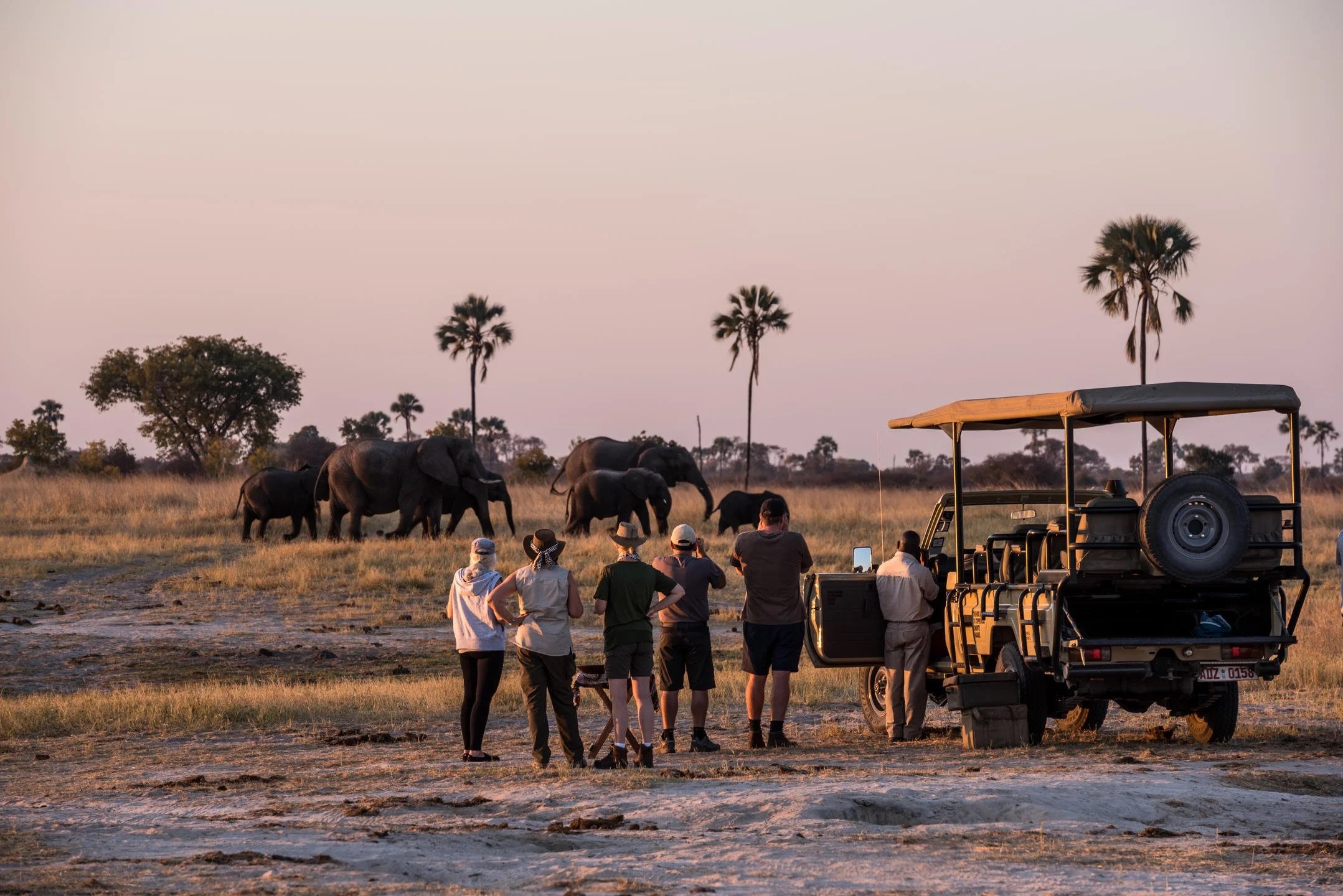 Game drive at The Hide