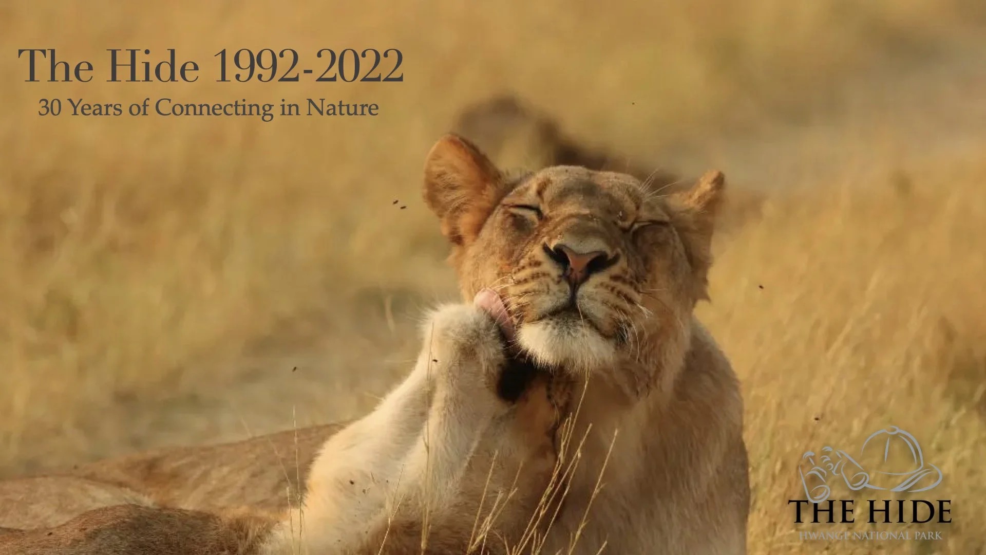 The Hide 30th Anniversary