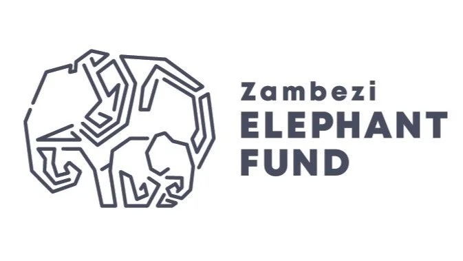 Zambezi Elephant Fund