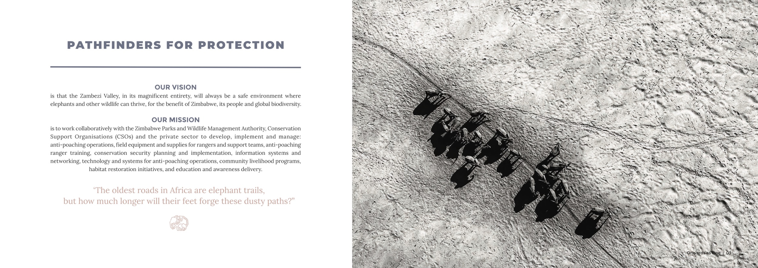 Zambezi Elephant Fund