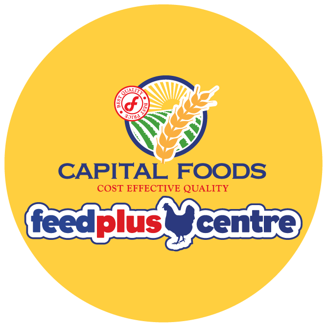 Capital Foods