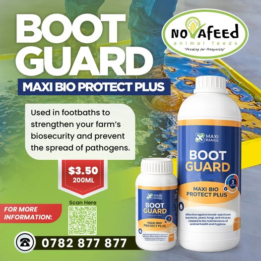 Biosecurity starts at the door. 🐔🚪