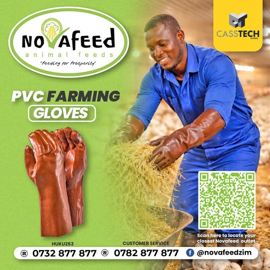 Protect your hands. Protect your flock.