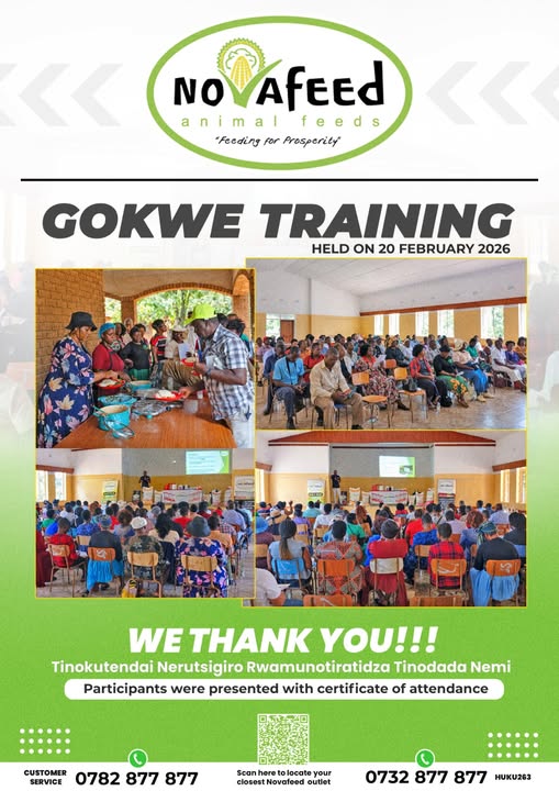 Thank you, Gokwe! 🙏