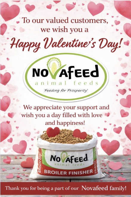 This Valentine’s Day, we celebrate YOU! ❤️