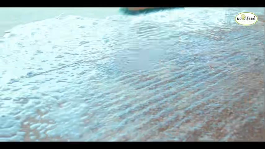 Welcome to our exclusive multi-series from Novafeed & Wadzanai — yo...