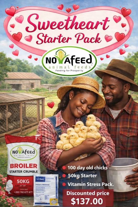 HAPPY VALENTINES DAY TO OUR VALUED CUSTOMERS!!