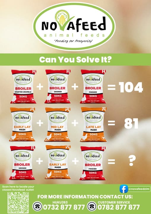 MONDAY QUIZ TIME! 🧠🐔