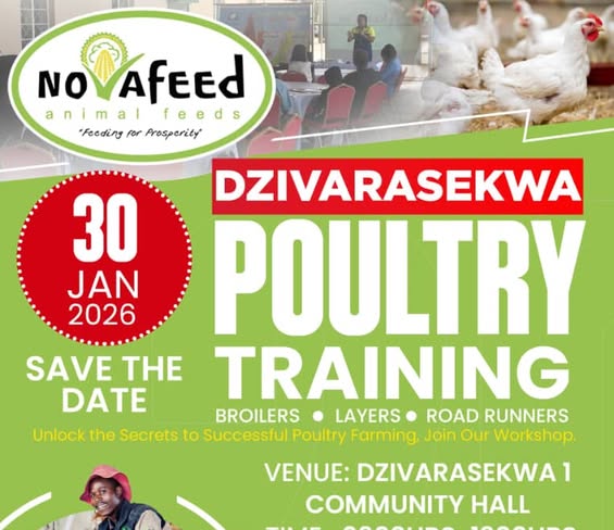 SAVE THE DATE – DZIVARASEKWA!