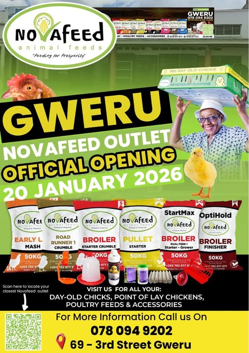 GWEREU — WE’RE OFFICIALLY OPENING! 🎉