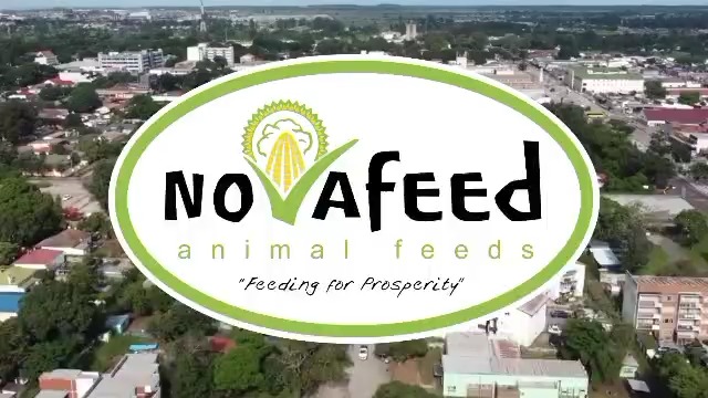 Gweru, we’re coming! 🎉