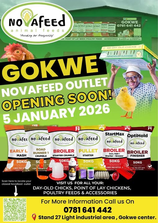 GOKWE, IT’S OFFICIAL! 🎉