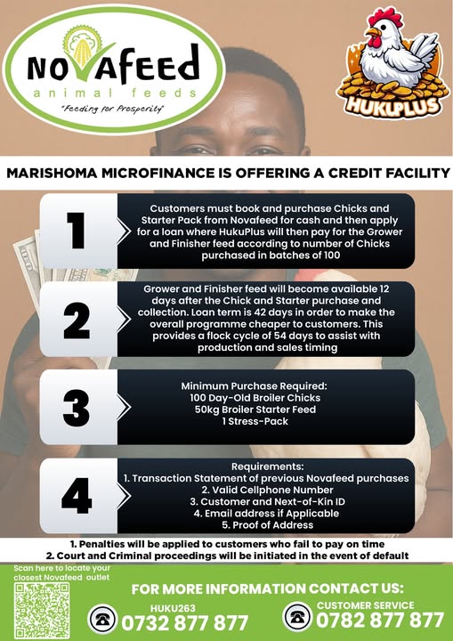 Beat January Disease with the Marishoma Broiler Loan 💪